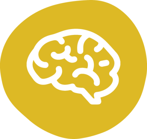 brain icon